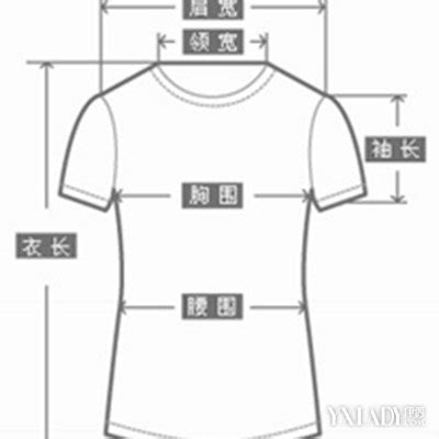 肩寬多少算寬|3种方法来测量肩宽